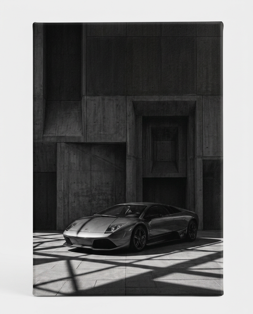 NO. 003- MURCIELAGO