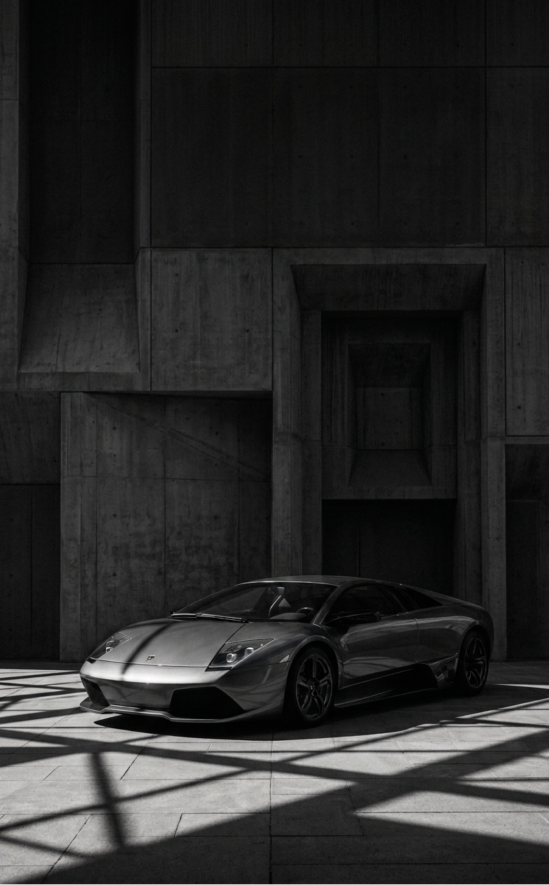 NO. 003- MURCIELAGO
