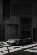NO. 003- MURCIELAGO