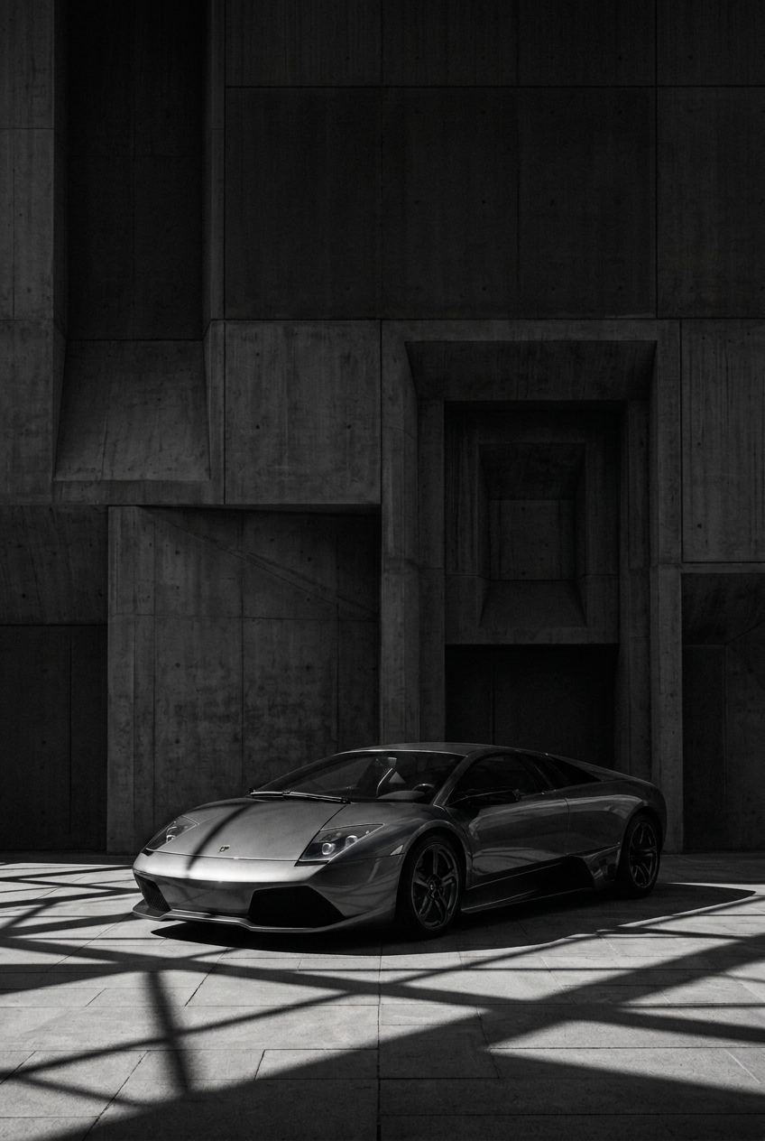 NO. 003- MURCIELAGO